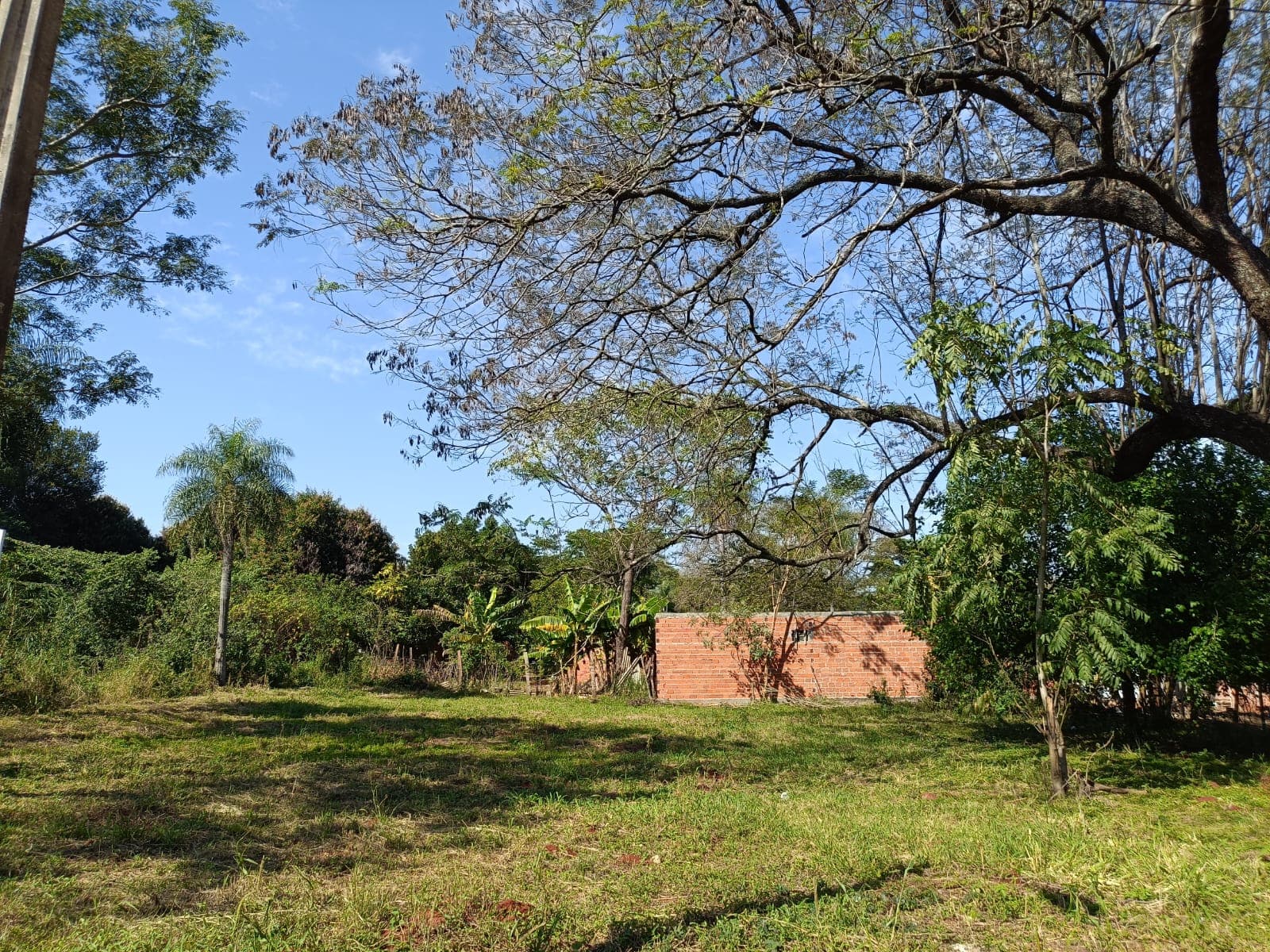 Terreno en venta en la cuidad de Ñemby, foto 3