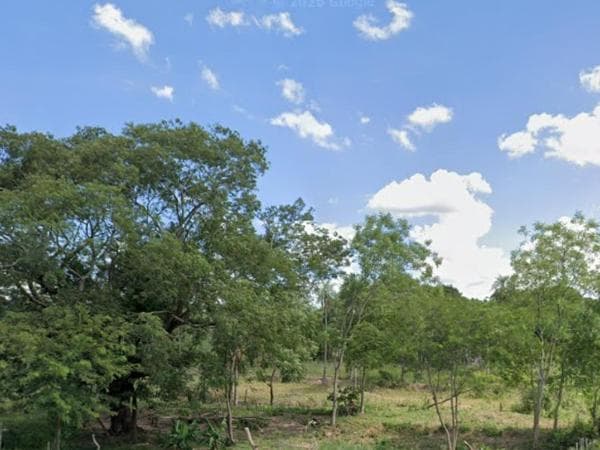 Propiedad rural de 6 hectáreas en escobar, foto 3