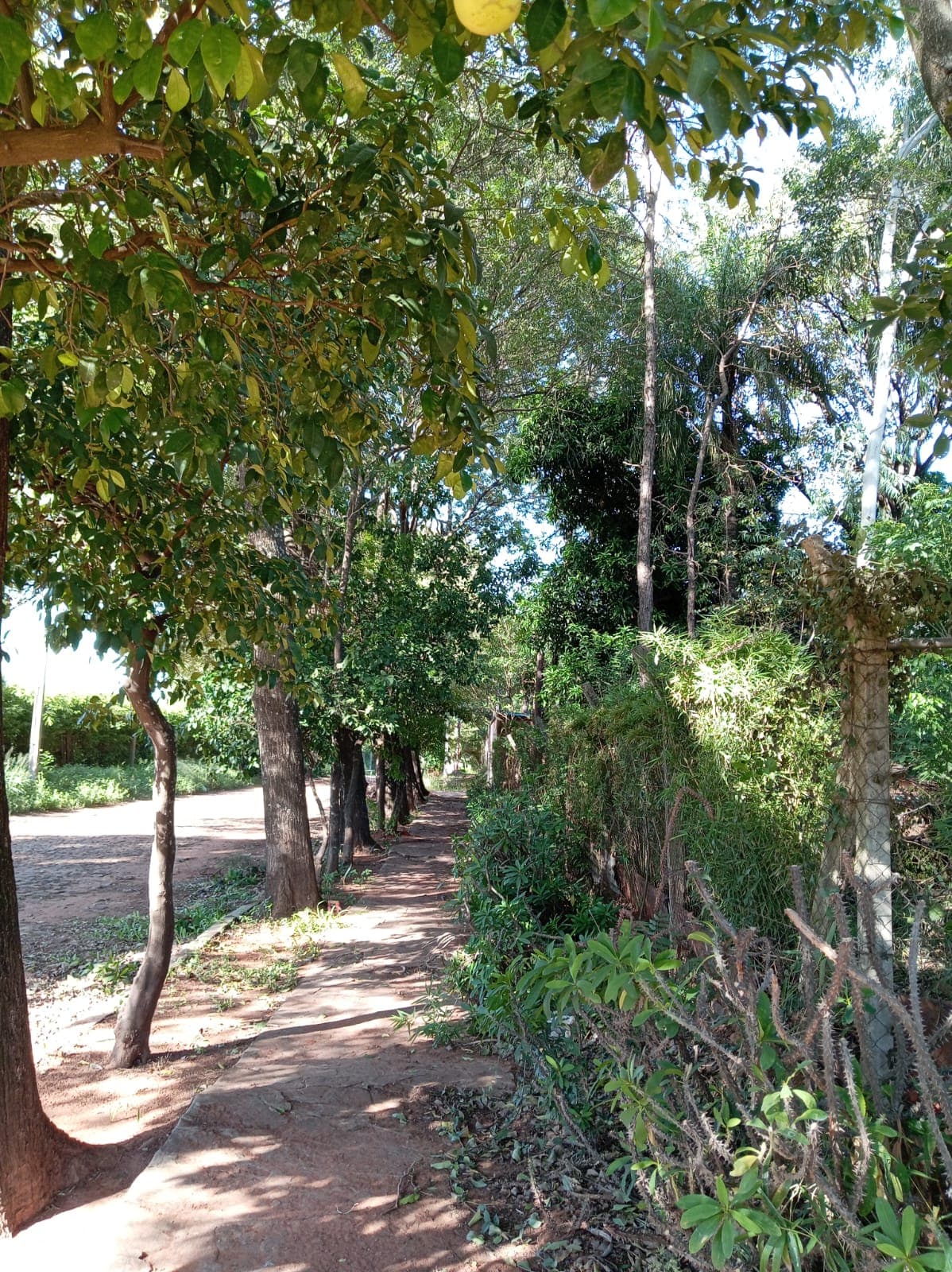 Casa-Alquiler-Centro, Villa Elisa, Central — foto 2