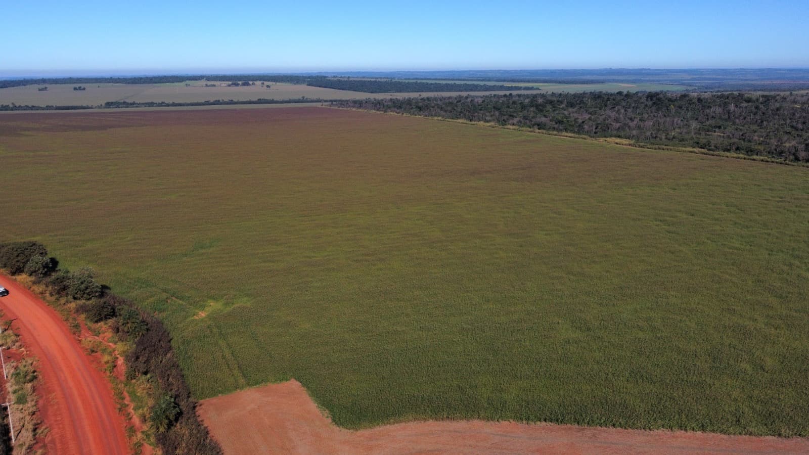 Campo en venta! – 1.001 hectáreas productivas - curuguaty, foto 2