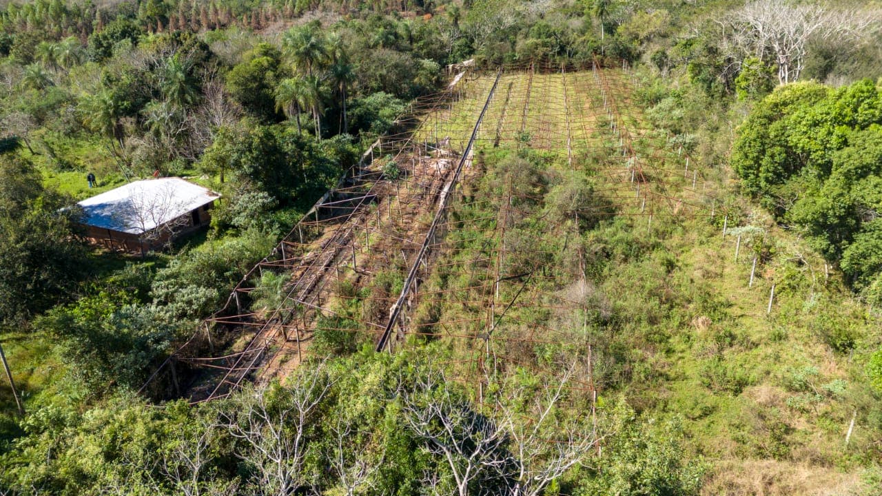 Oportunidad de inversión en piribebuy, foto 5