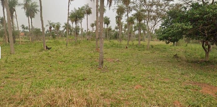 De dos terreno ideal para inversión, foto 1