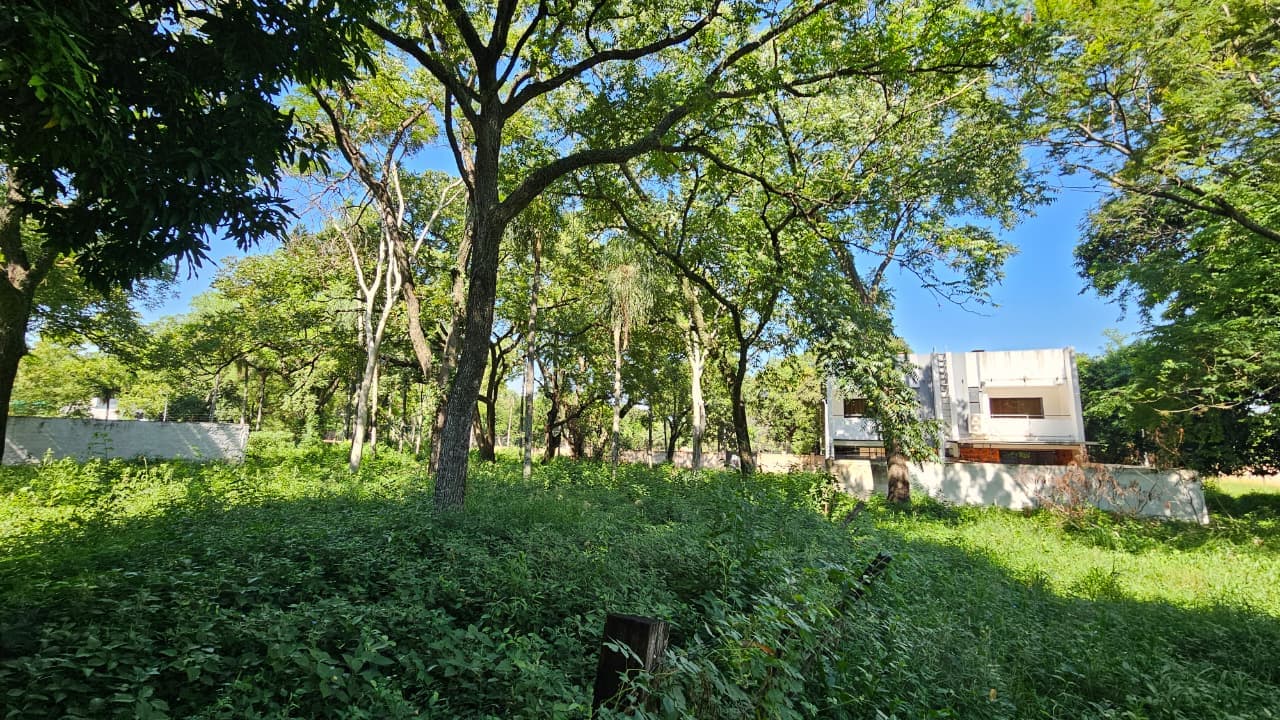 Terrenos con mejor precio en la zona sek / plaza de los mangos en Lambaré — foto 5