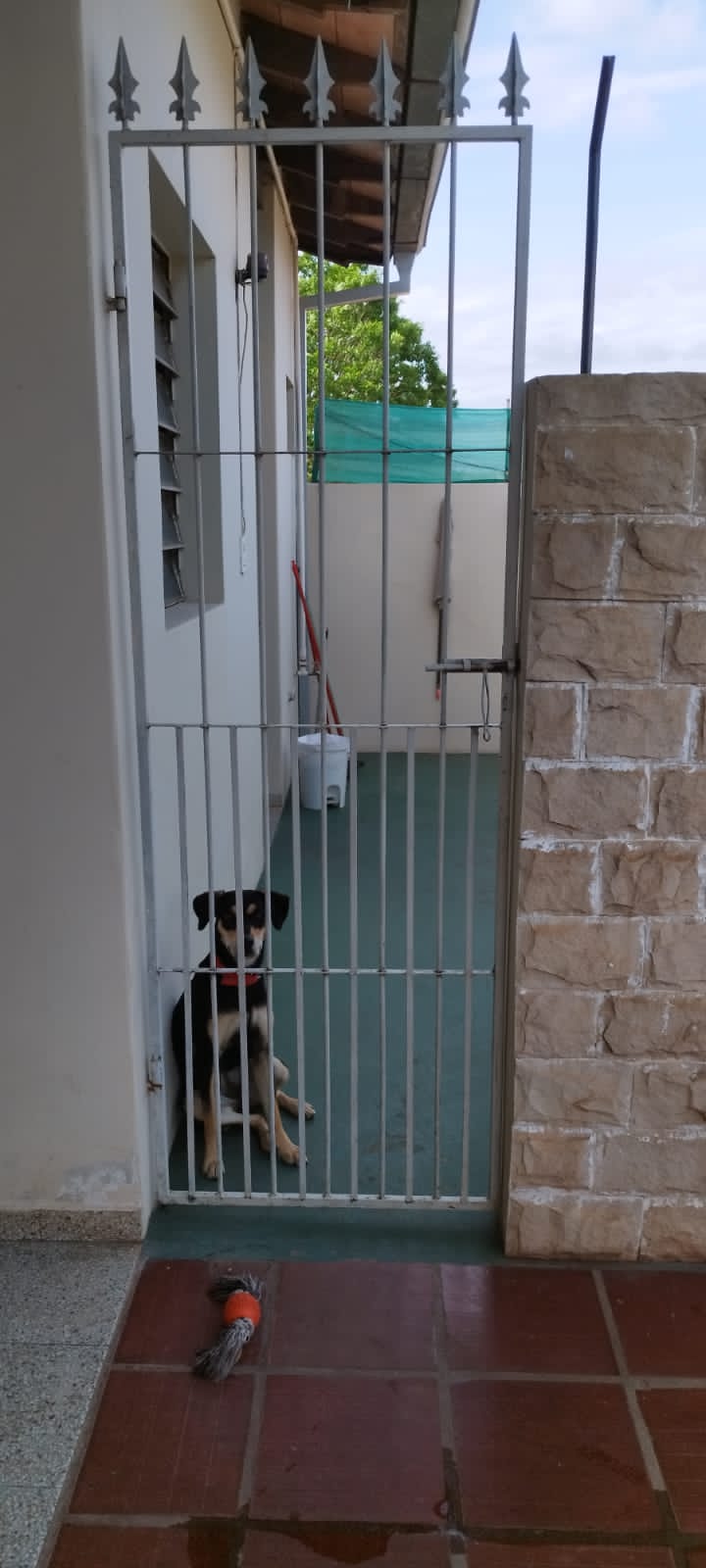 En venta amplia casa en fernado de la mora zona sur, foto 3