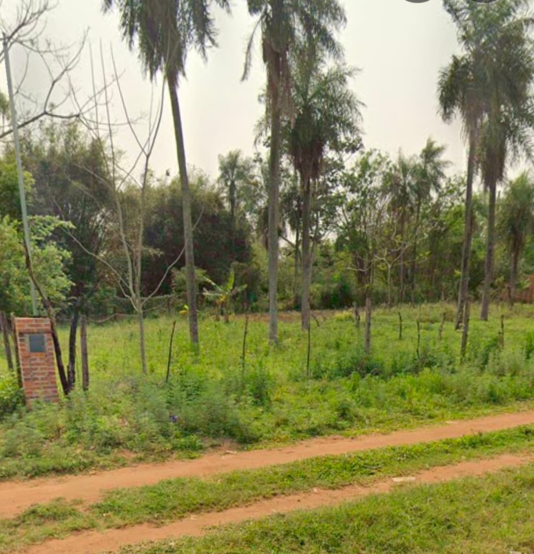 Terreno, foto 2
