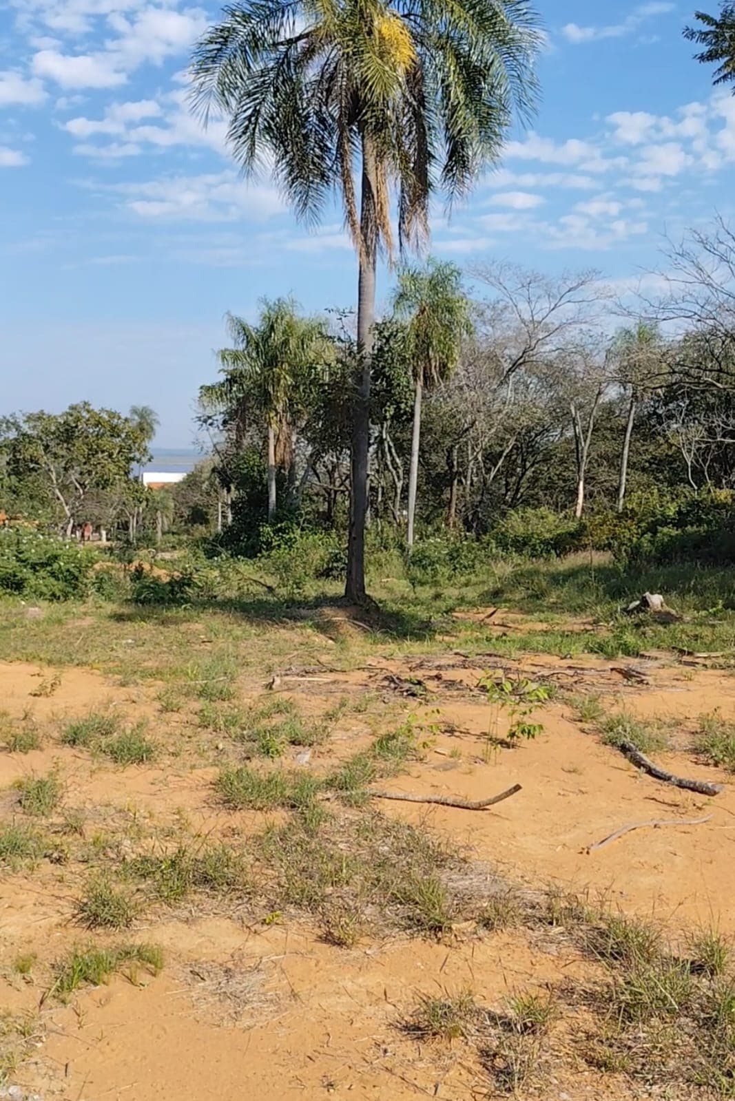 Terreno con vista al lago en San Bernardino, foto 4