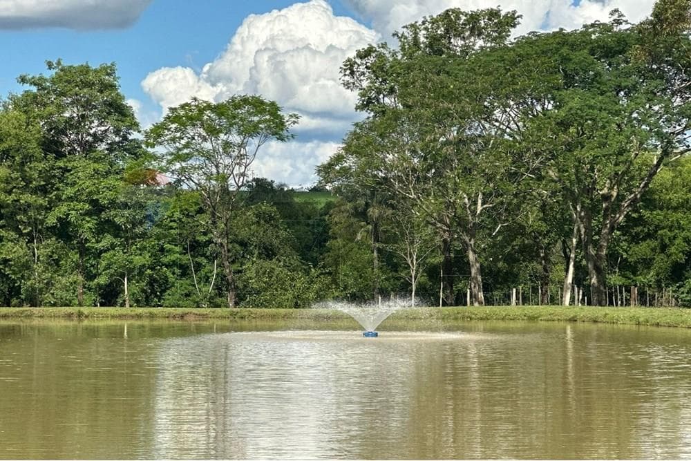 Estancia con gran potencial - Venta - Tavapy, Alto Paraná, Paraguay