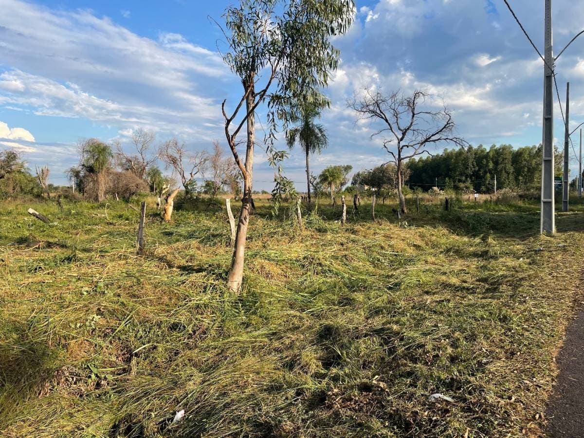 En venta 2 terrenos juntos sobre ruta Luque-sanber zona ciervo cua, foto 2