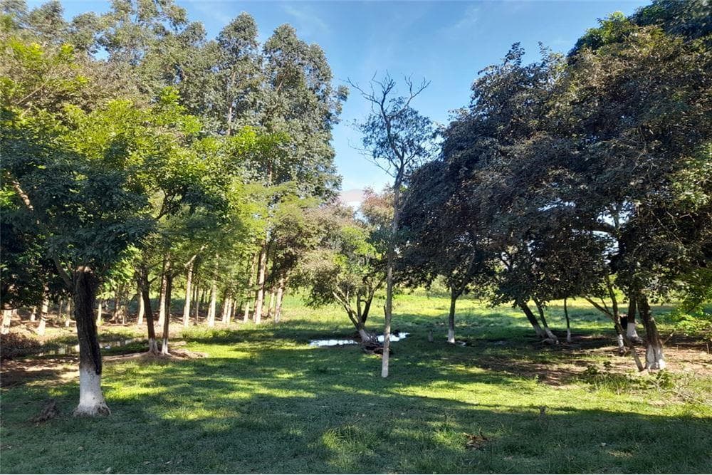 En Venta Amplia Propiedad De 8 Has Con Arroyo. Yataity Del Norte. CAIO — foto 2