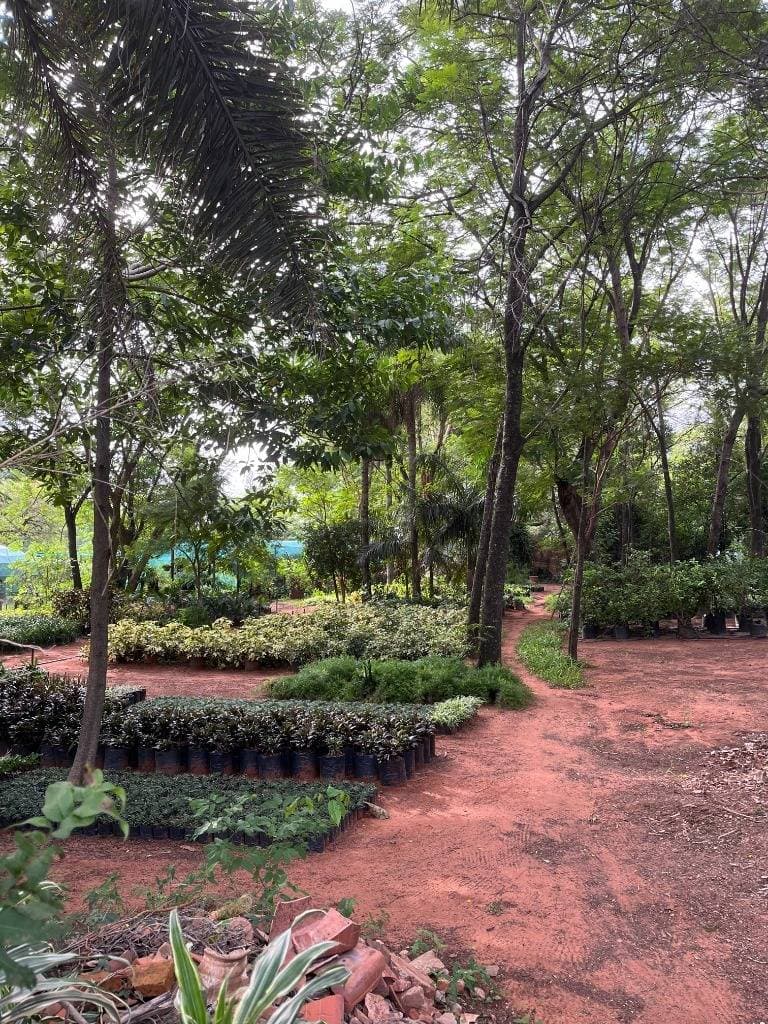 Terreno en el centro de Villa Elisa sobre avenida principal, foto 1