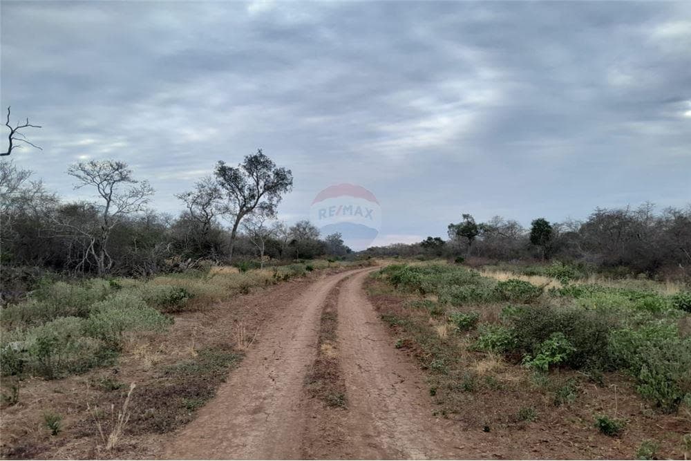 Campo en mariscal estigarribia 4.000 hectareas, foto 1