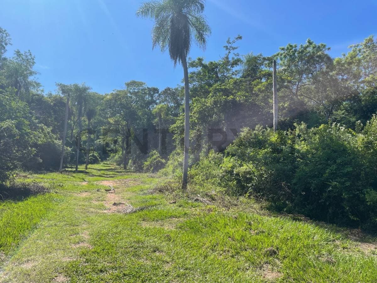 Se vende terreno de 850 m2 en San Bernardino, la gruta, foto 3