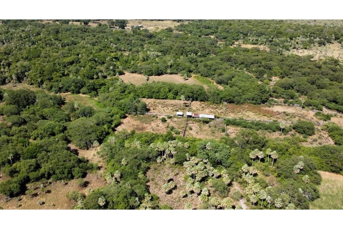 Estancia ganadera en venta benjamín aceval, chaco, foto 5