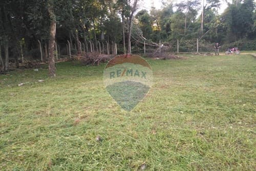 Terreno - Venta - Paraguay Cordillera San Bernardino, foto 3