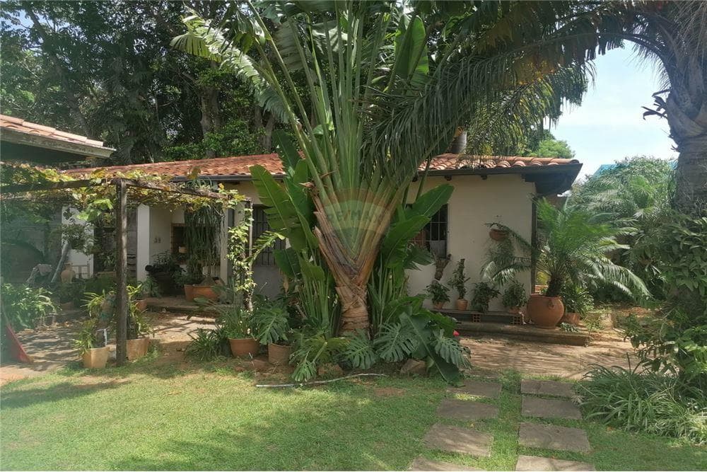 casa Zona Goethe Barrio San Jorge, foto 5