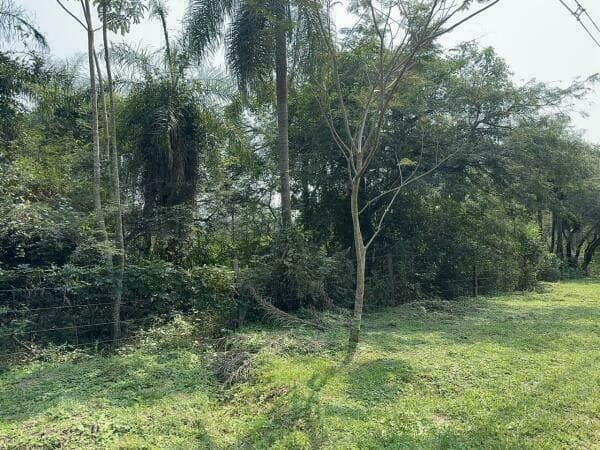 En venta terreno en esquina de 67,236 m2 en barrio colon San Bernardino, foto 2