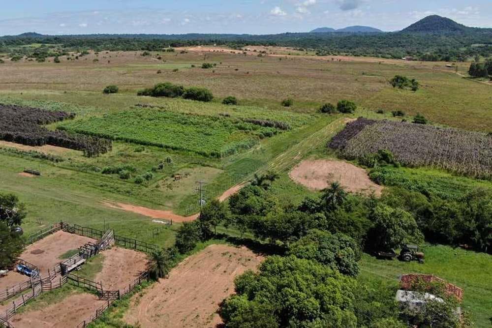 Establecimiento agroganadero, foto 2