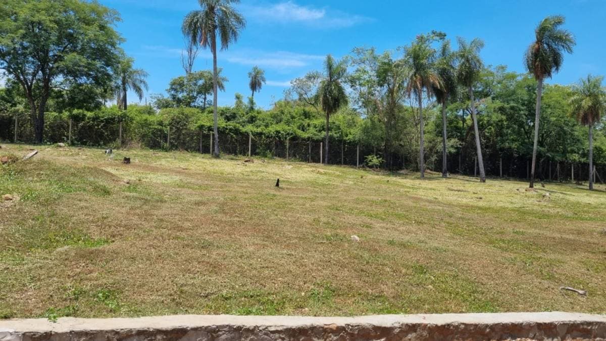 Dos terrenos en altos barrio alta pietra, foto 2