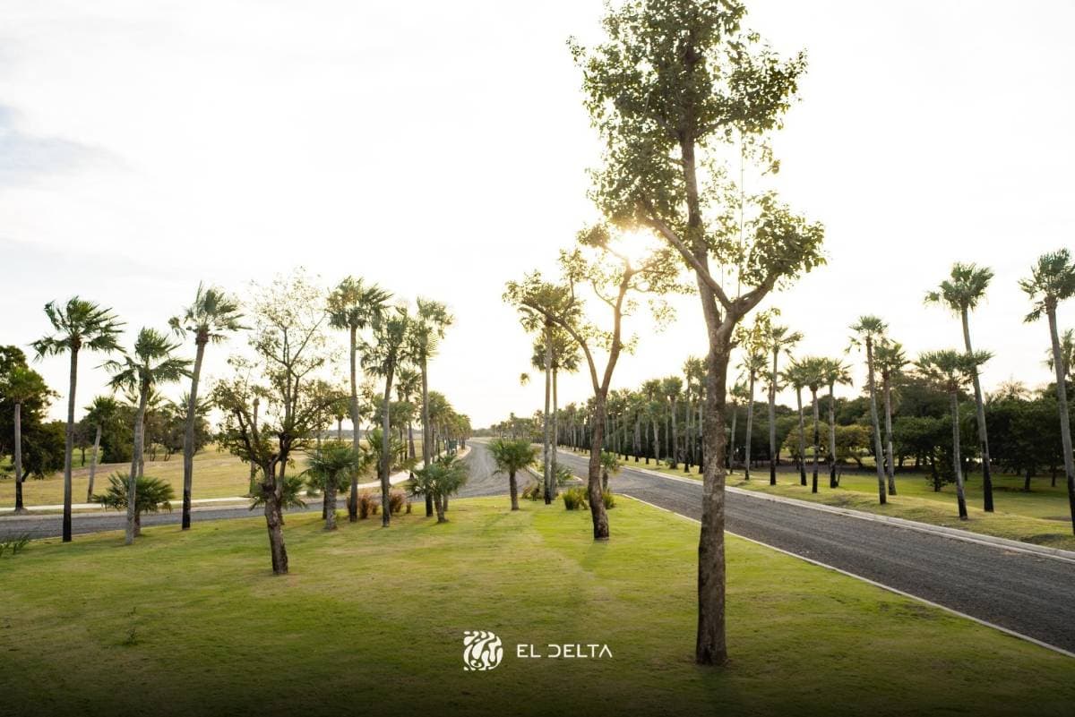 Terreno complejo delta — foto 4