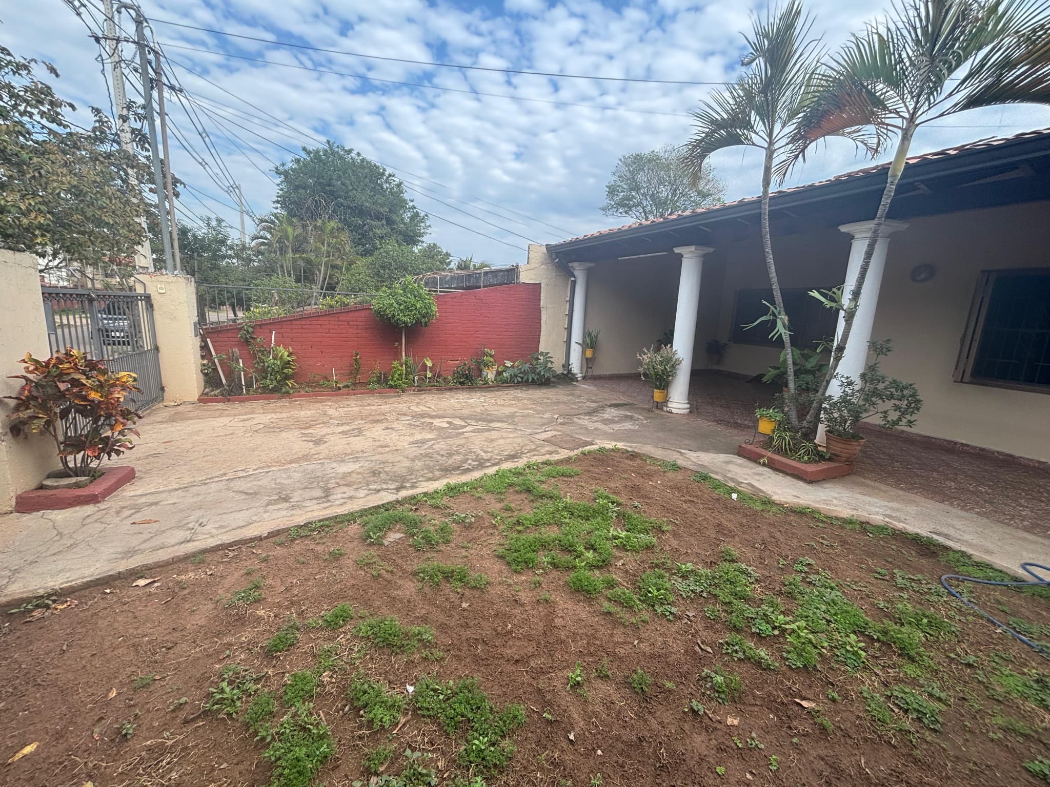 Propietario Vende – 500 M² Con 2 Casas En Zona Botánico — foto 2