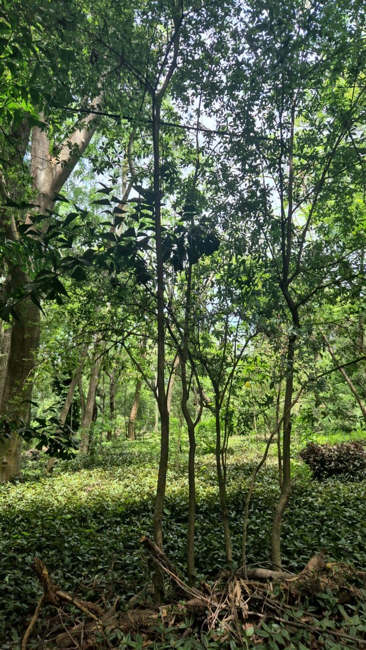 Terreno en Venta – Barrio Cerrado Surubí’í — foto 1