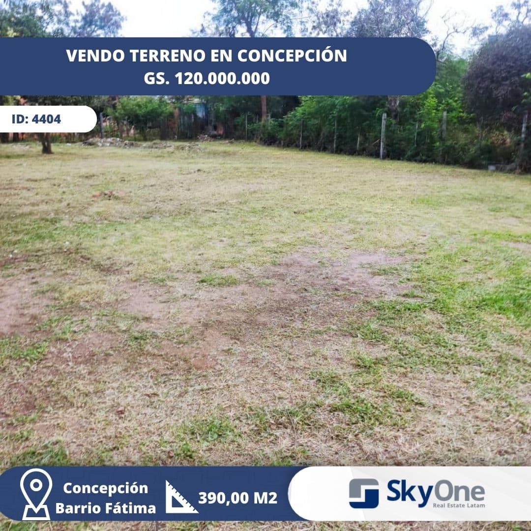 Terreno En Concepcion, foto 1