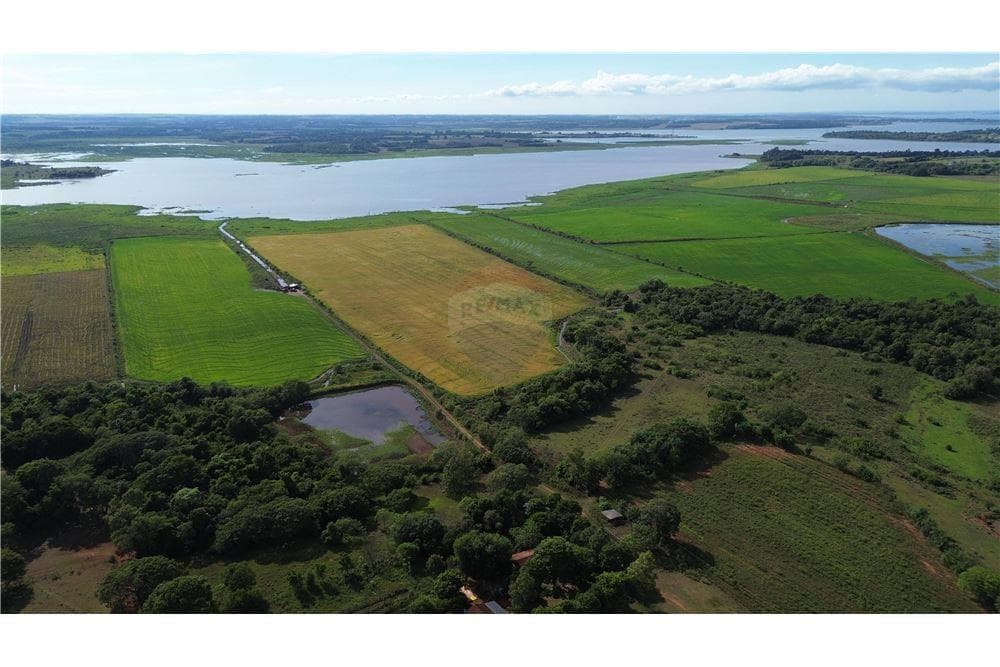 Espectacular Campo a la Venta de 34 Has – Coronel Bogado, foto 3