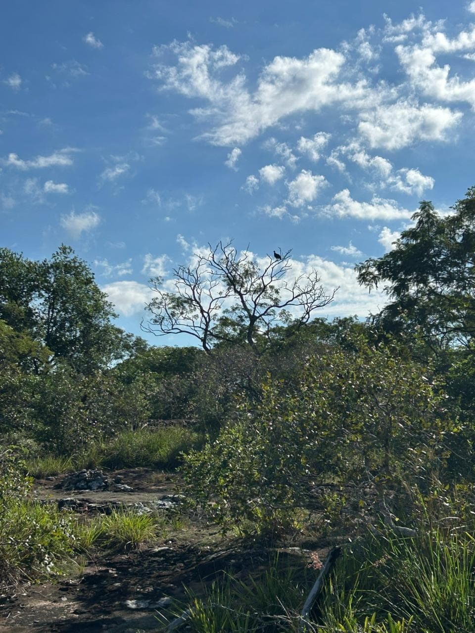 terreno en Valenzuela, Ideal Inversion, foto 2