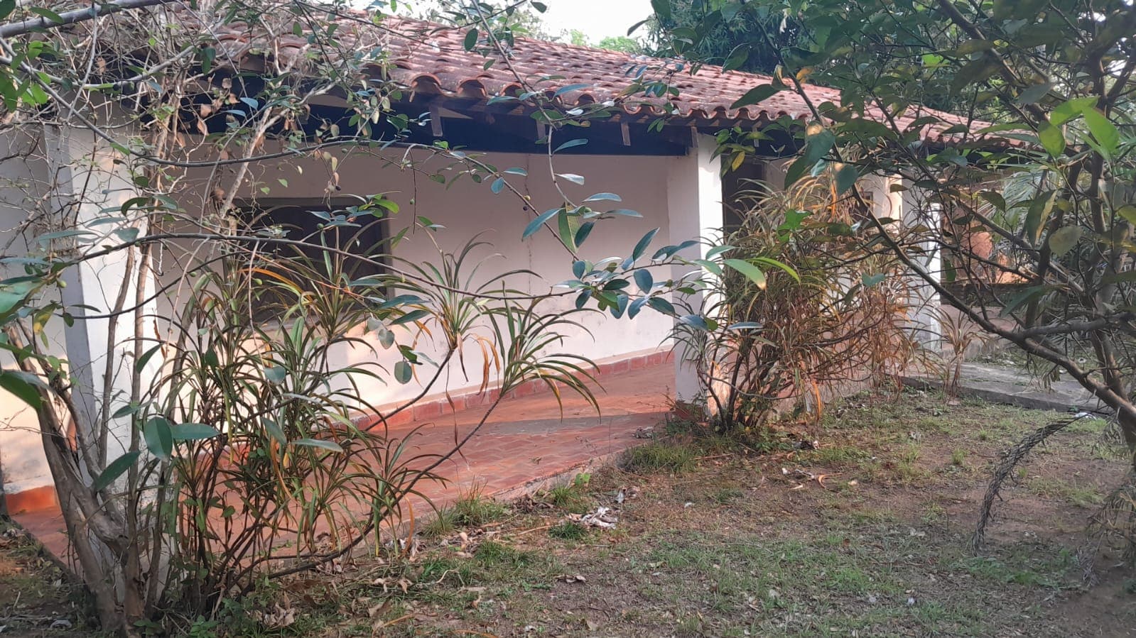Terreno con casa en venta - San Bernardino, foto 5