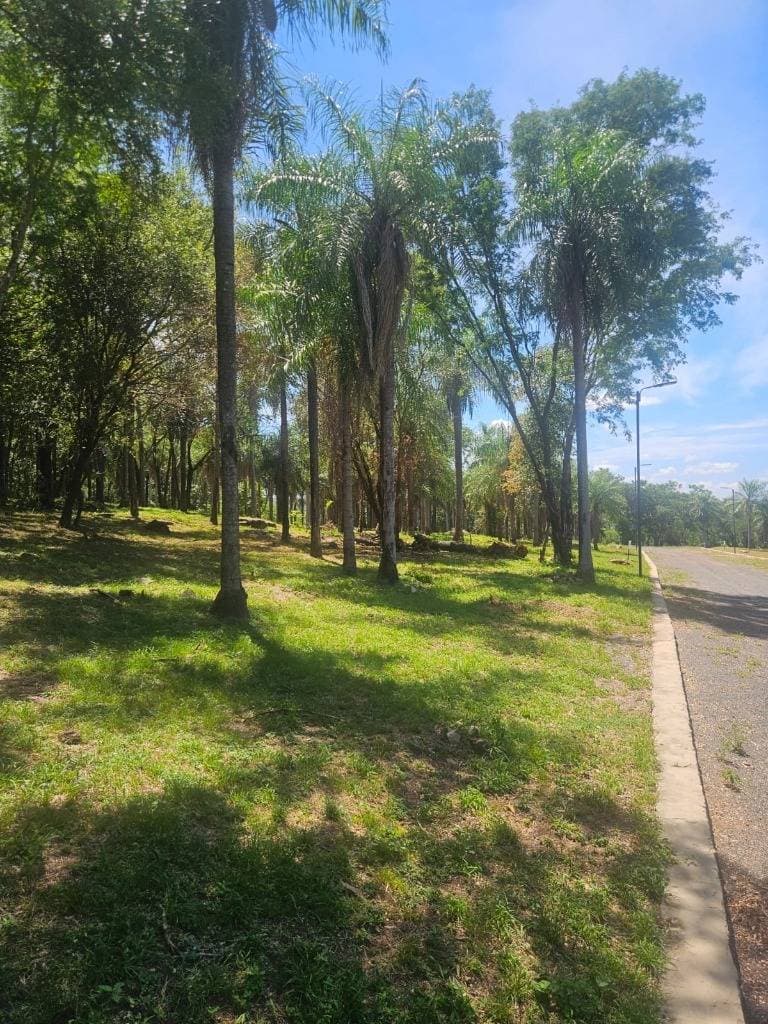 Terrenos en San Bernardino, foto 4