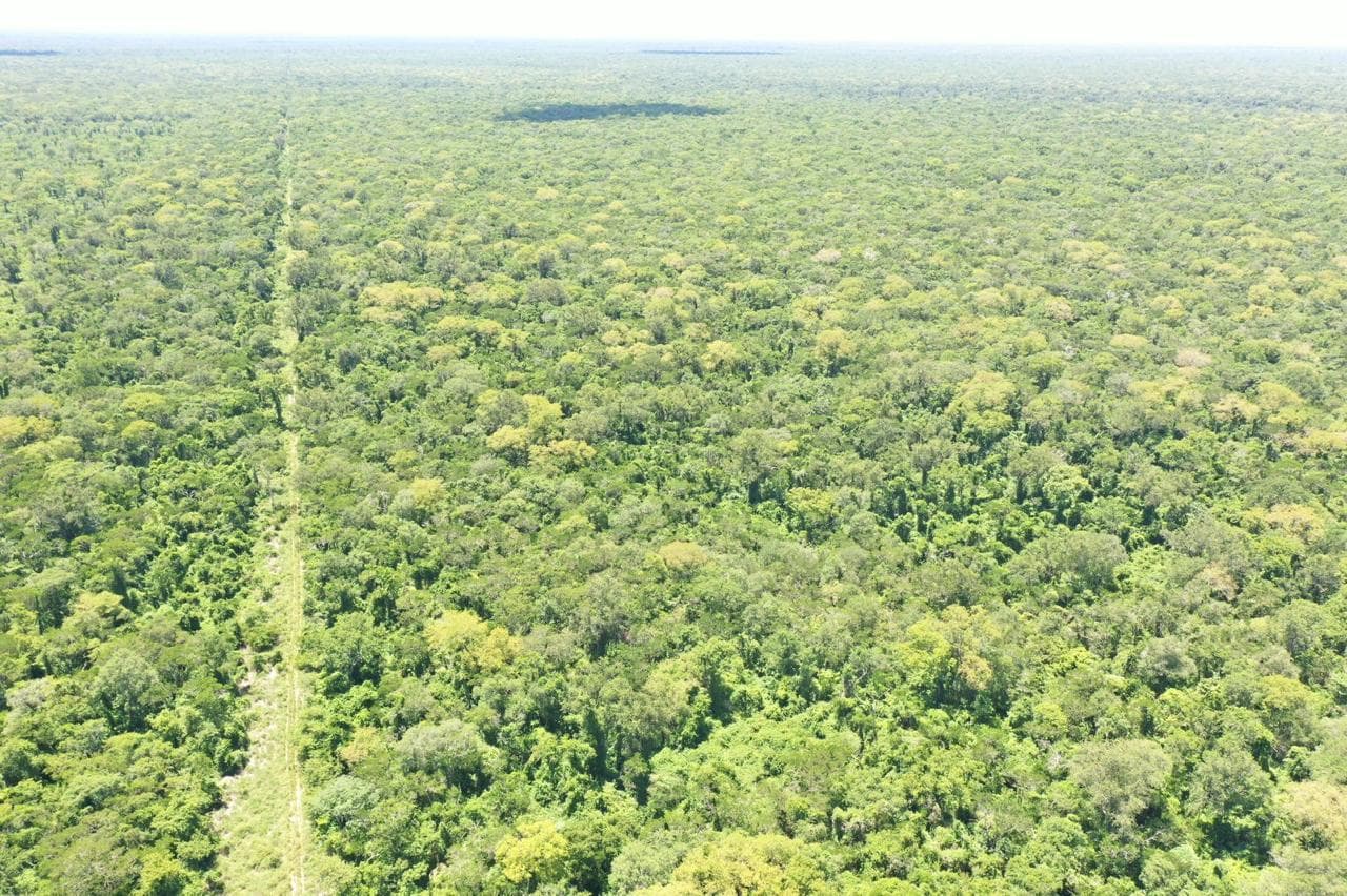 10.500 hectáreas, foto 1
