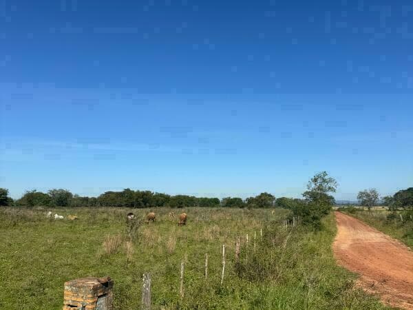 Propiedad en arroyos y esteros – 48 hectáreas (16 hectáreas de pasto)*, foto 5
