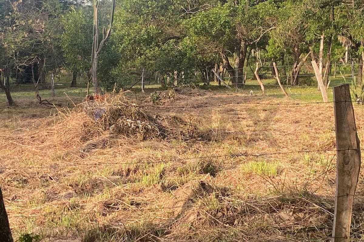 Terreno de 360 m² en San Lorenzo - Zona Mixta a Metros de Jacarandá Laurelty — foto 2