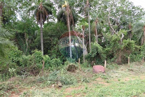 En Venta Terreno De 3731 M2, Situado Sobre La Ruta Nacional - Emboscada, foto 5