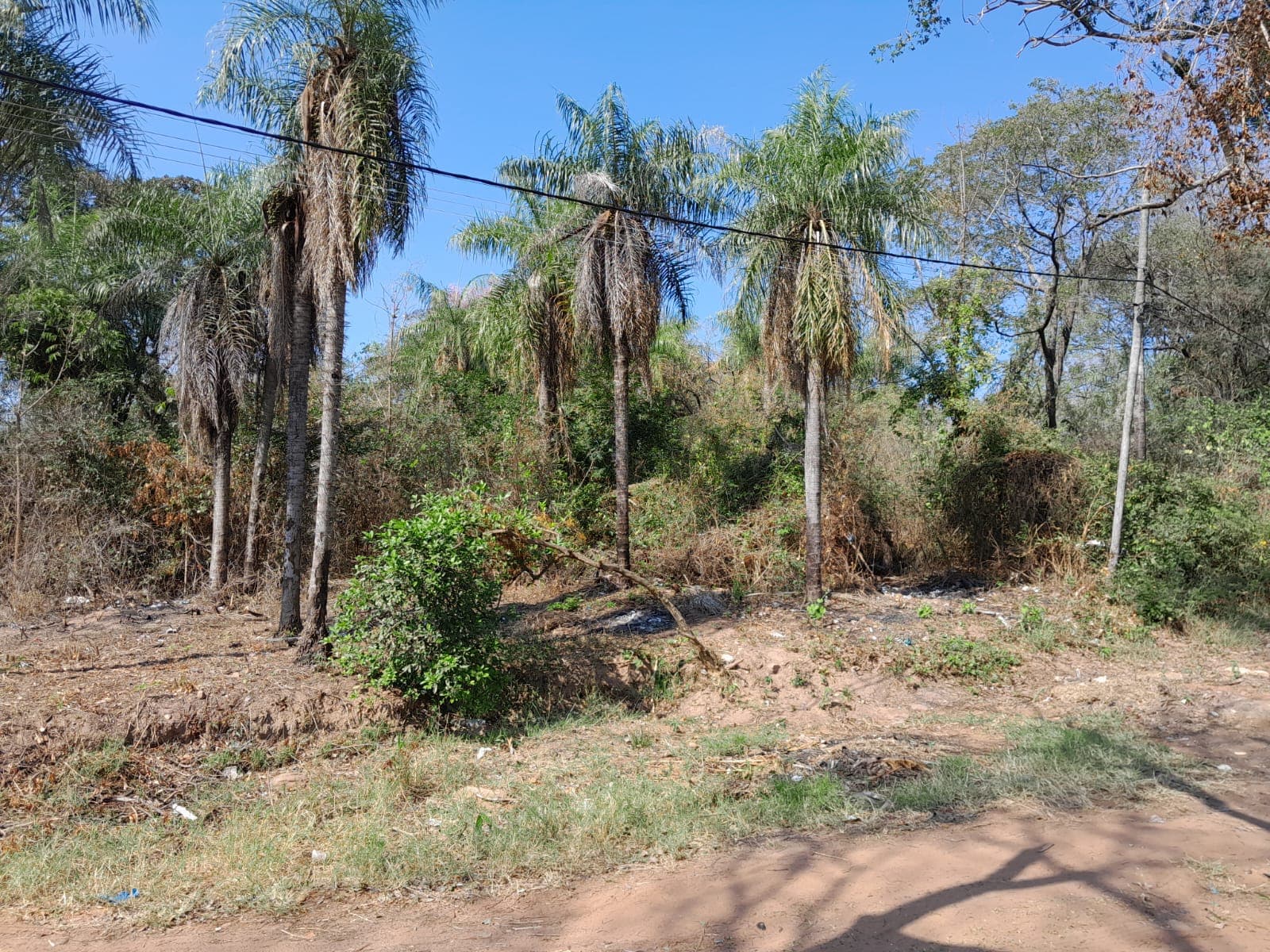 Terrenos en aregua, foto 2