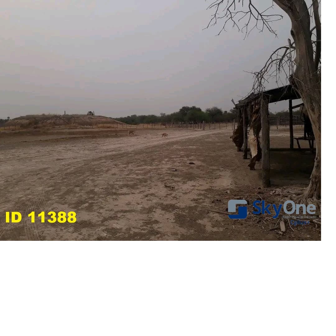Estancia en alto paraguay-fortin florida, 1500has, foto 3