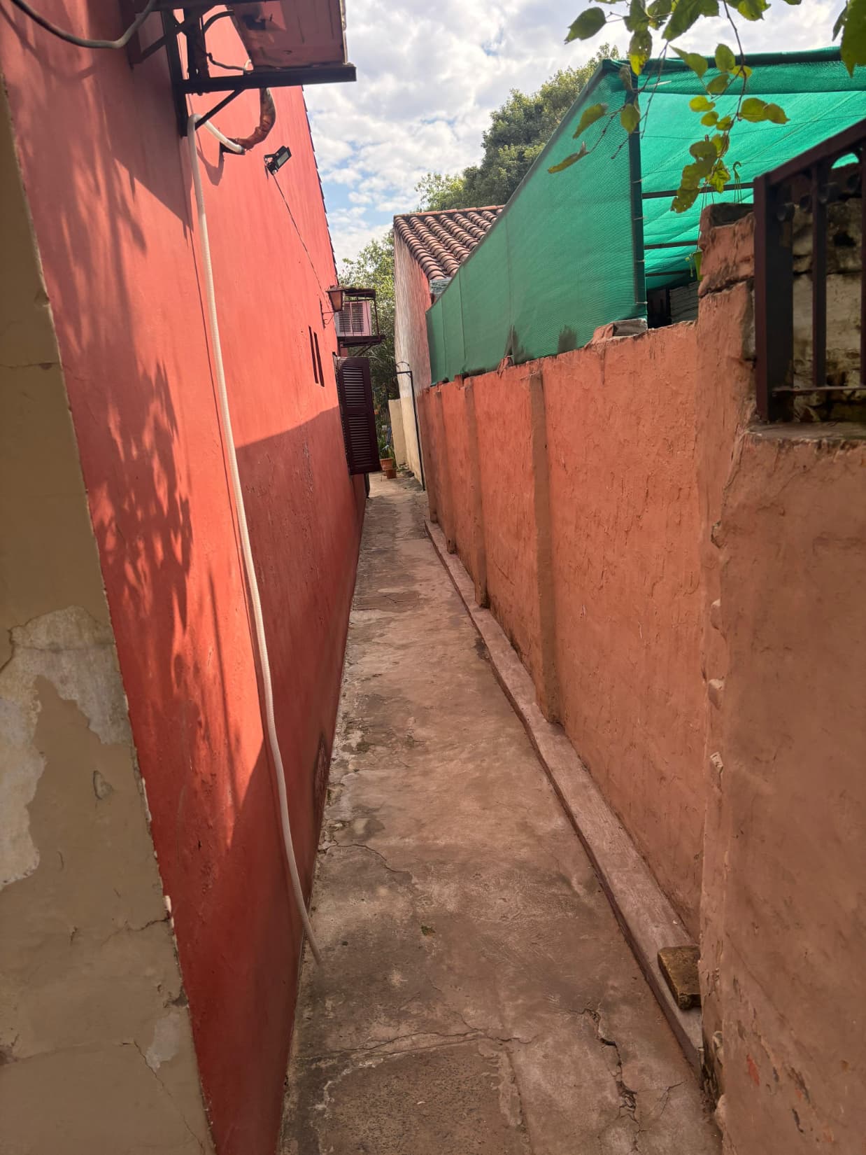 Propietario Vende – 500 M² Con 2 Casas En Zona Botánico — foto 5