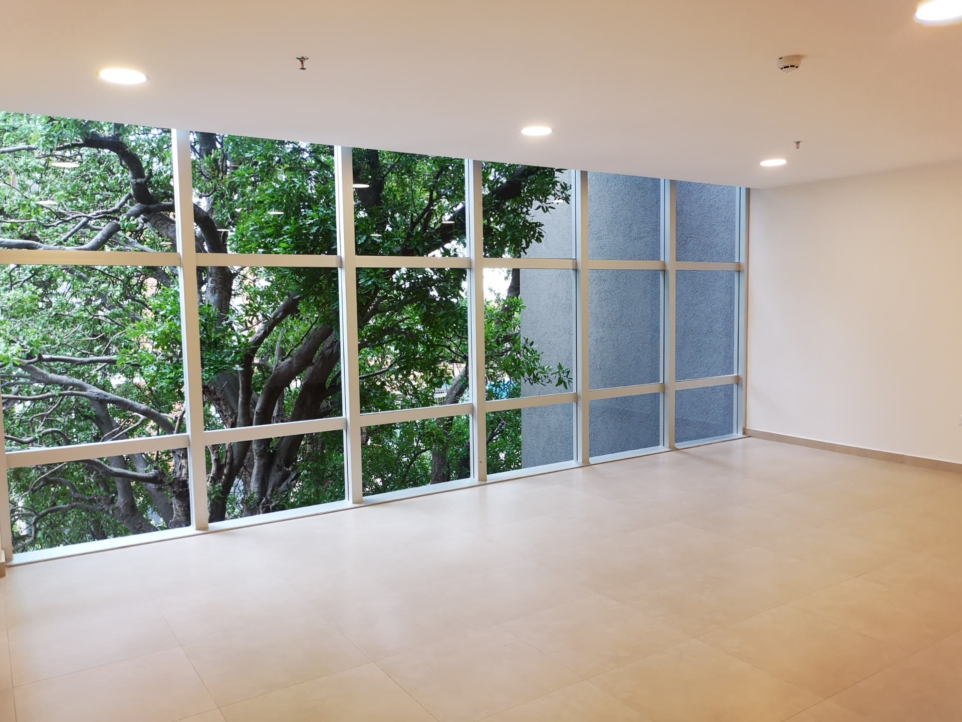 Luminosa Oficina De 69m2 En Imponente Edificio, Ideal Para Invertir, foto 1