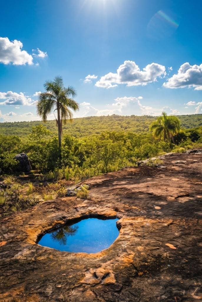 14 hectáreas sobre el Arroyo Piribebuy – Eusebio Ayala, foto 2