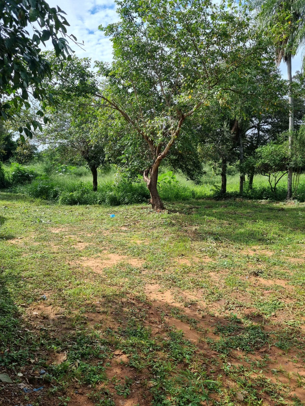 En venta 1536 m2 en areguá, foto 3