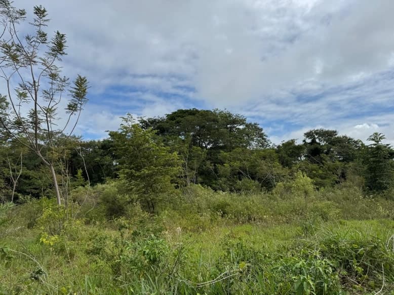 Terreno 2,5 ha en Yataity del Norte – Ideal para Agricultura — foto 3
