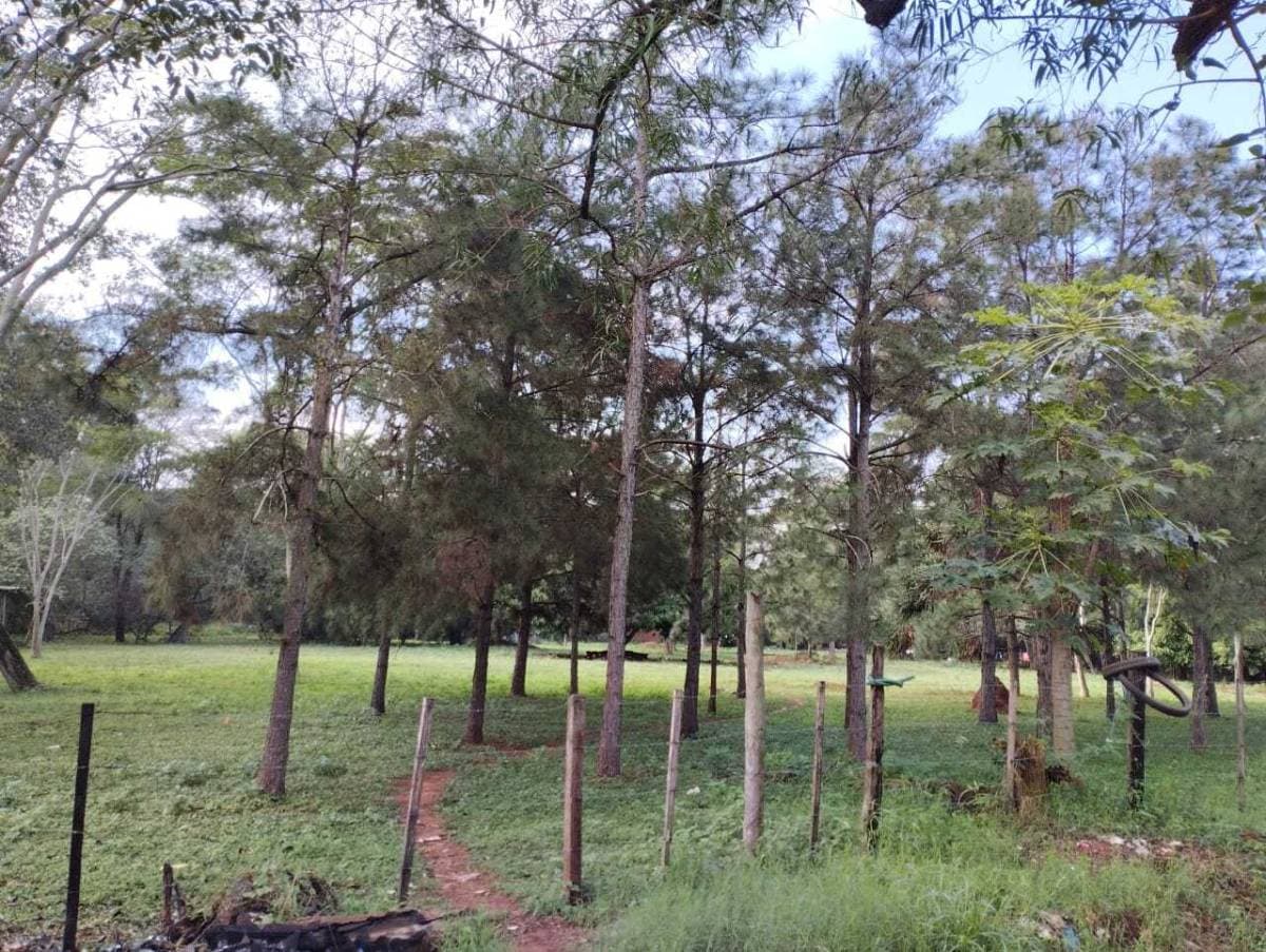 Terreno en Luque, foto 1