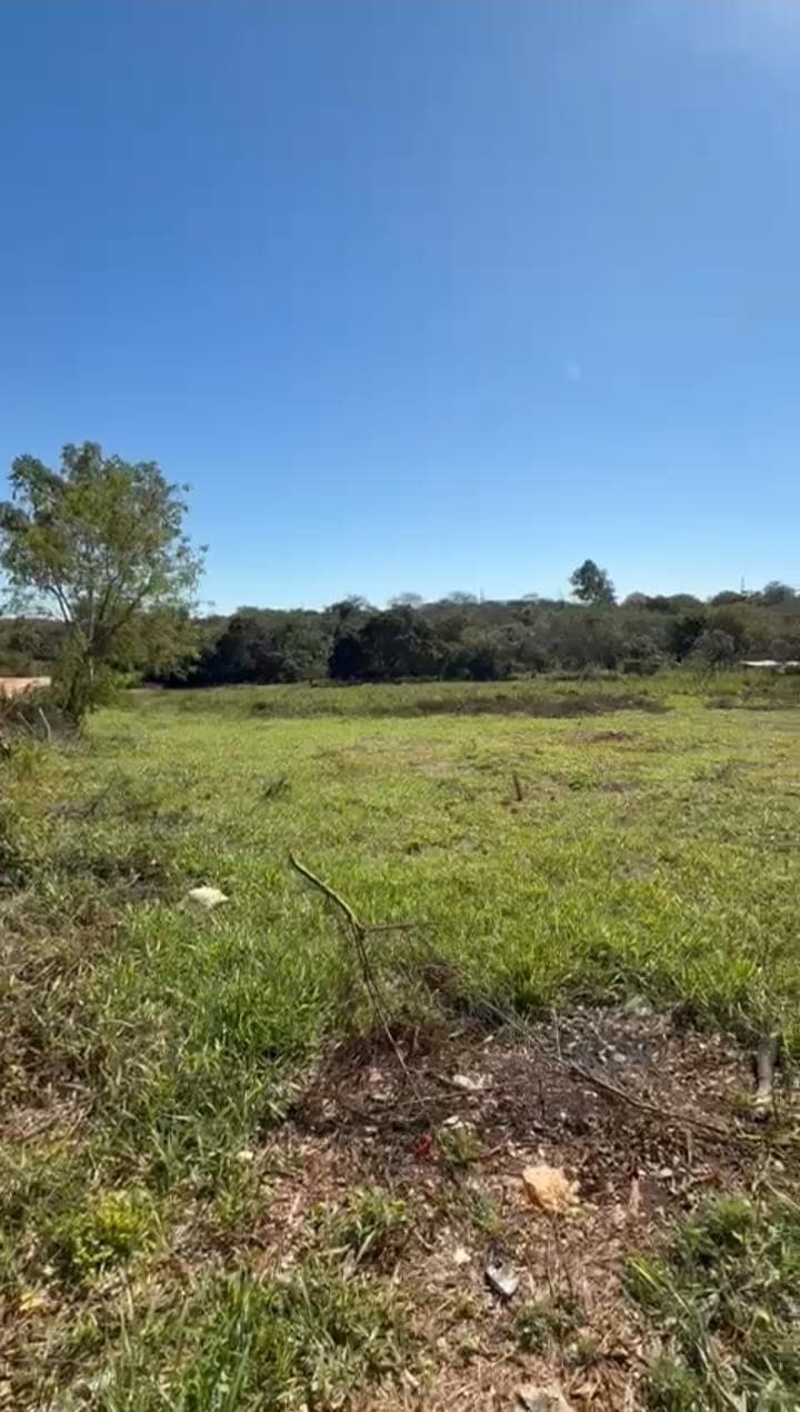 Amplia propiedad de 6.235 m2 sobre ruta Paso de Oro, Ypané, foto 5