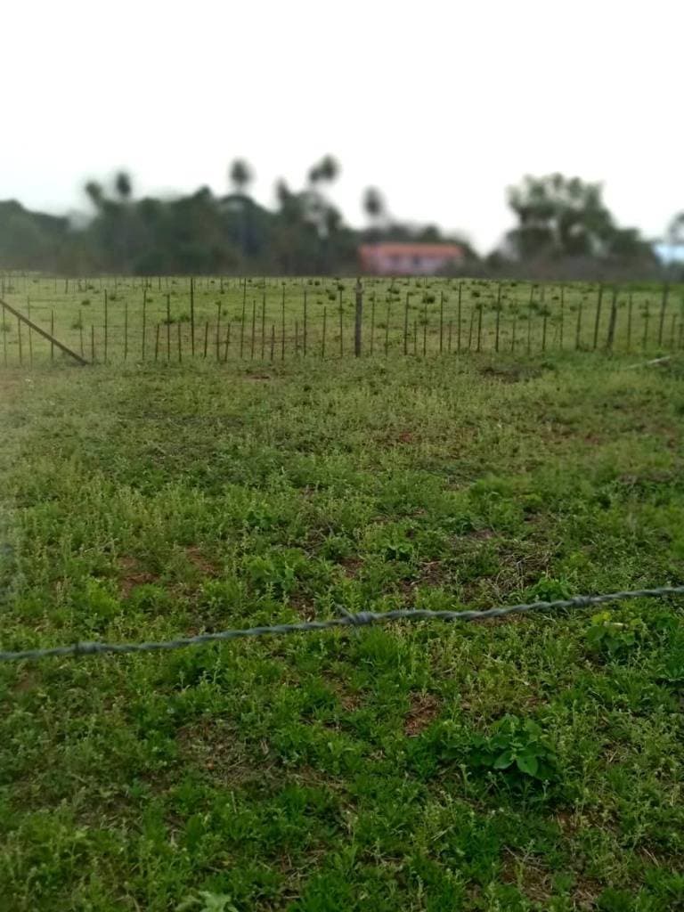 En oferta!! Amplio terreno en cabañas - caacupé