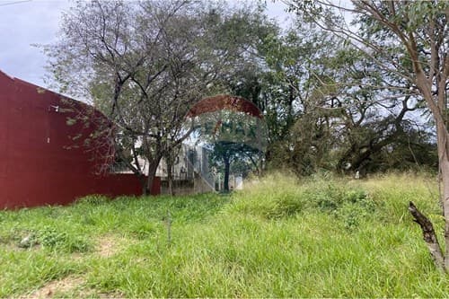 Terreno en San Lorenzo, foto 4