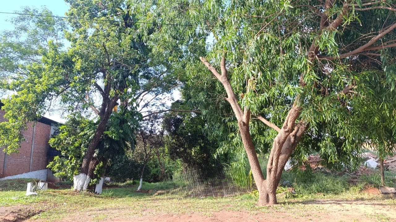 EN VENTA - OFERTA- Barcequillo San Lorenzo 360m2
