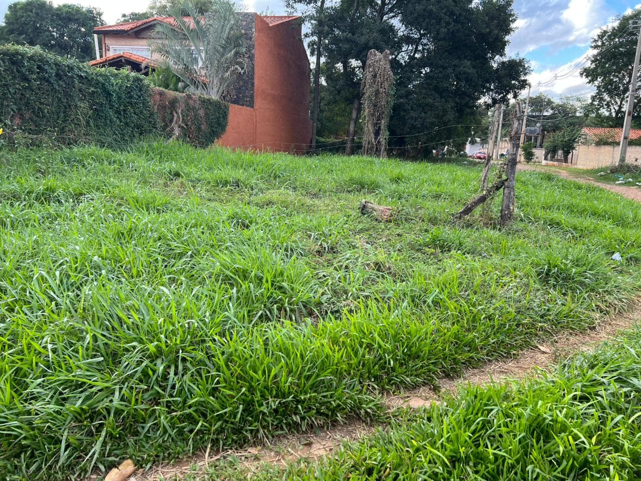 Terreno en esquina (Luque) — foto 4