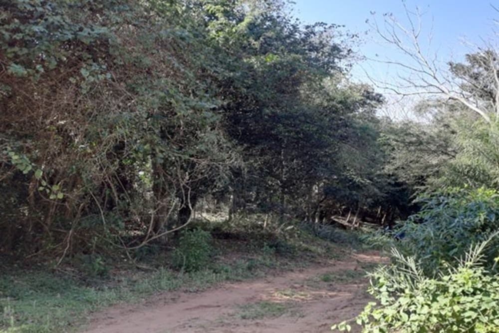 De Terreno En Pirayú 6,48 Hectáreas, foto 2