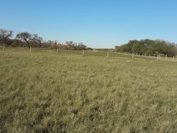 Estancia mp, foto 3