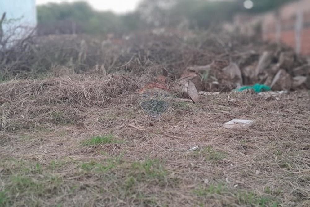 "Terreno Ideal en Luque para Tu Nuevo Hogar", foto 3